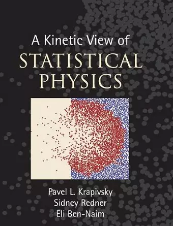 A Kinetic View of Statistical Physics cover