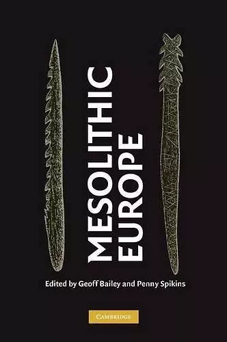 Mesolithic Europe cover