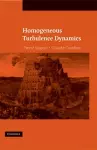 Homogeneous Turbulence Dynamics cover