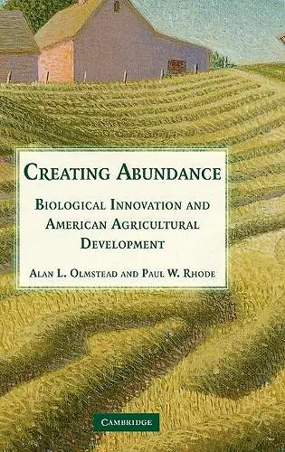 Creating Abundance cover