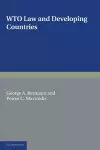 WTO Law and Developing Countries cover