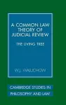 A Common Law Theory of Judicial Review cover