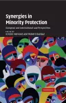 Synergies in Minority Protection cover