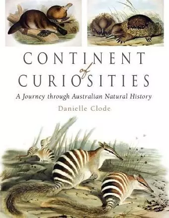 Continent of Curiosities cover