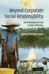 Beyond Corporate Social Responsibility cover