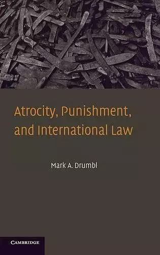 Atrocity, Punishment, and International Law cover