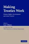 Making Treaties Work cover