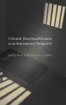 Criminal Disenfranchisement in an International Perspective cover