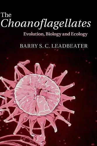 The Choanoflagellates cover