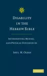 Disability in the Hebrew Bible cover