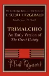 F. Scott Fitzgerald: Trimalchio cover