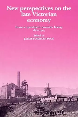 New Perspectives on the Late Victorian Economy cover