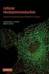 Cellular Mechanotransduction cover