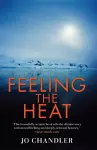 Feeling The Heat cover