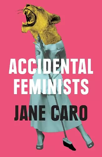 Accidental Feminists cover