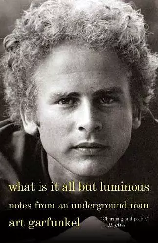 What Is It All but Luminous cover
