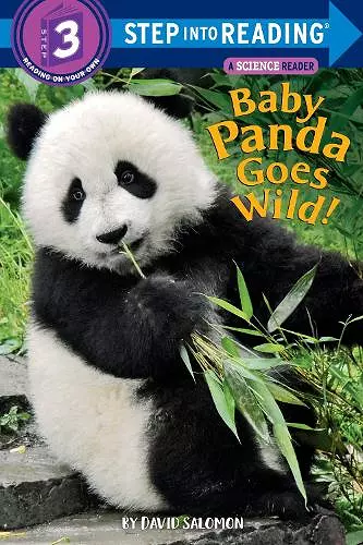 Baby Panda Goes Wild! cover