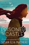 The Prisoner in the Castle cover