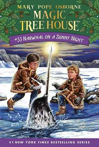 Narwhal on a Sunny Night cover