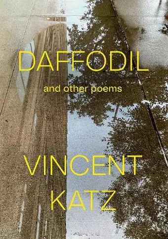 Daffodil cover