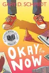 Okay for Now cover