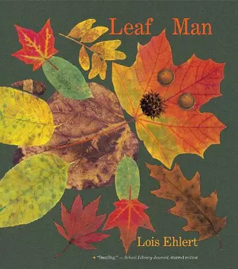 LEAF MAN BIG BOOK cover