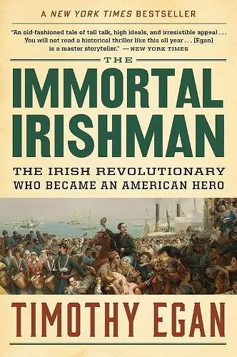The Immortal Irishman cover