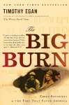 Big Burn, The cover
