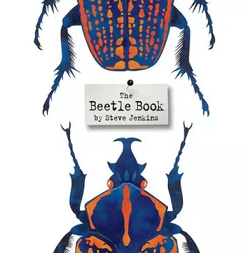 The Beetle Book cover