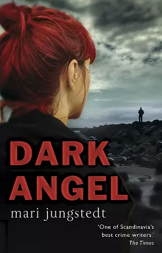 Dark Angel cover