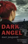 Dark Angel cover