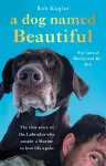 A Dog Named Beautiful cover