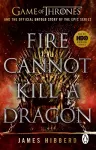 Fire Cannot Kill a Dragon cover