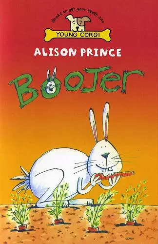 Boojer cover