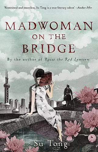Madwoman On The Bridge And Other Stories cover