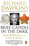 Brief Candle in the Dark cover