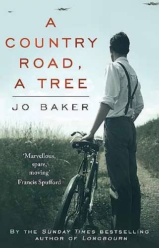 A Country Road, A Tree cover