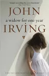 A Widow For One Year cover