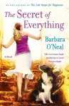 The Secret of Everything cover