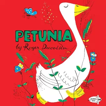Petunia cover