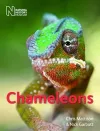 Chameleons cover