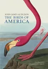 The Birds of America cover