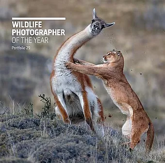 Wildlife Photographer of the Year: Portfolio 29 cover