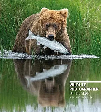 Wildlife Photographer of the Year: Highlights Volume 6, Volume 6 cover