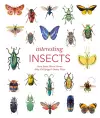 Interesting Insects cover