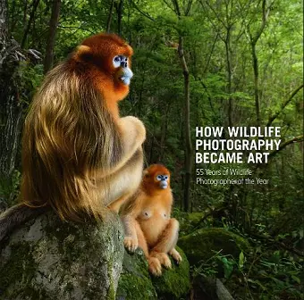 How Wildlife Photography Became Art cover