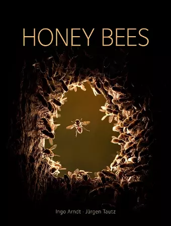 Honey Bees cover