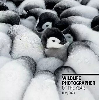 Wildlife Photographer of the Year: Pocket Diary 2023 cover