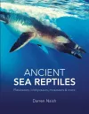 Ancient Sea Reptiles cover