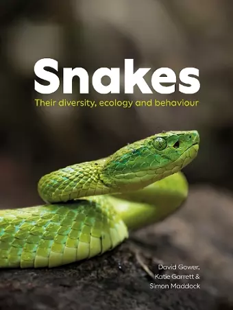 Snakes cover